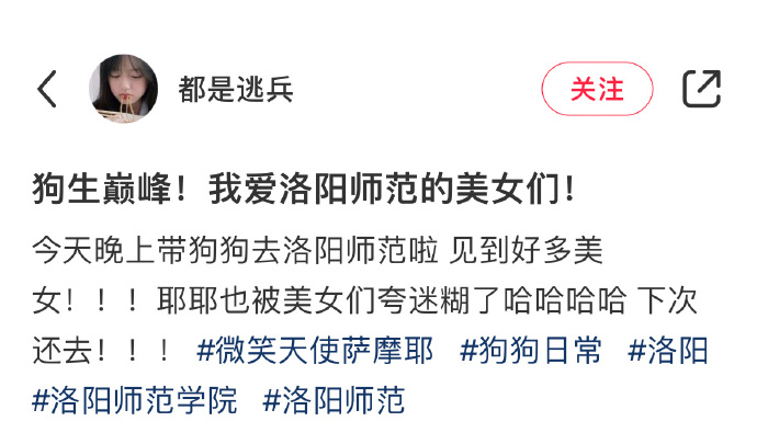 不要去学校附近遛狗哈哈哈哈哈哈哈哈哈哈哈哈哈哈很容易被rua迷糊