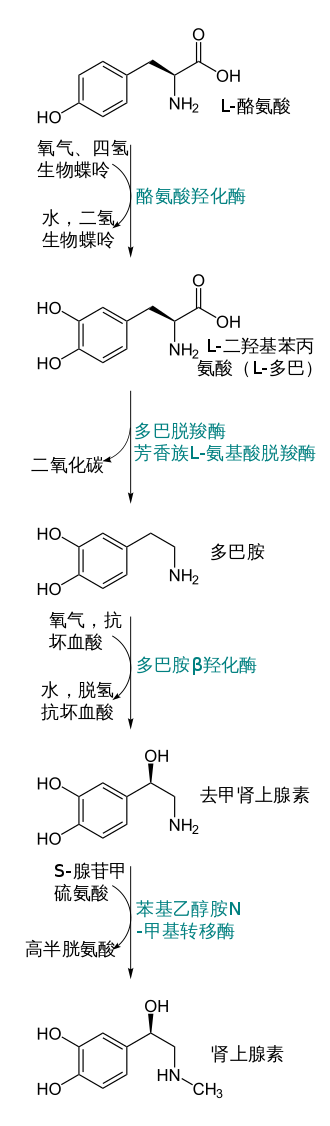 为什么让生物感到舒服的大多是坏事,这对发展又有什么好处呢?