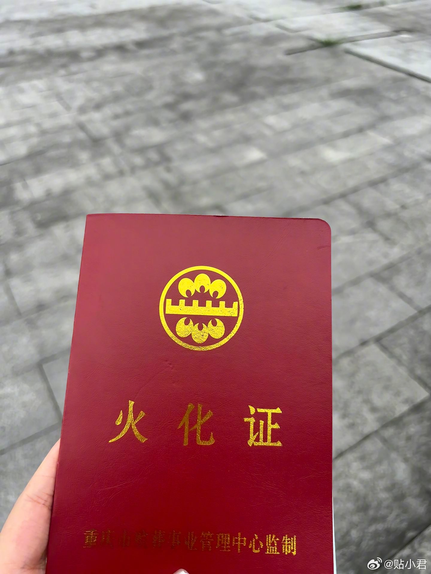 「21岁重庆男子跳江」事件后续