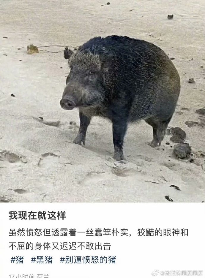我被骂时就这样隐忍：