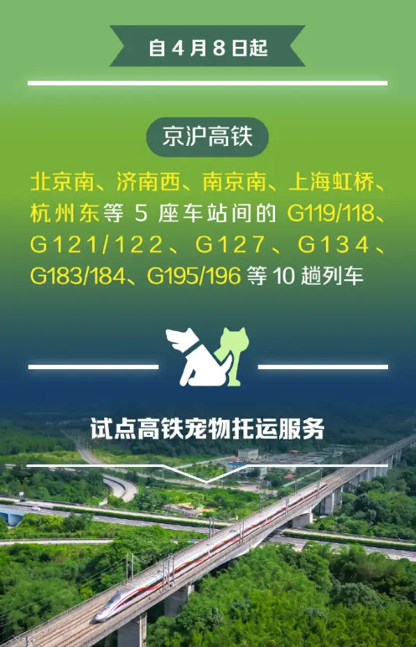 12306里，有多少你不知道的秘密？