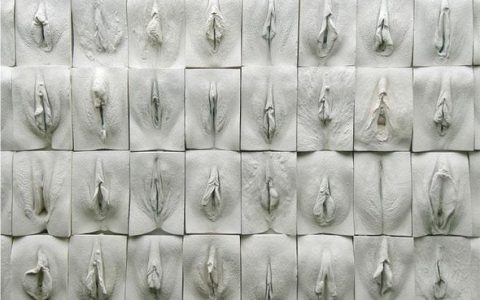 第一次照镜子看外阴，又熟悉又震惊