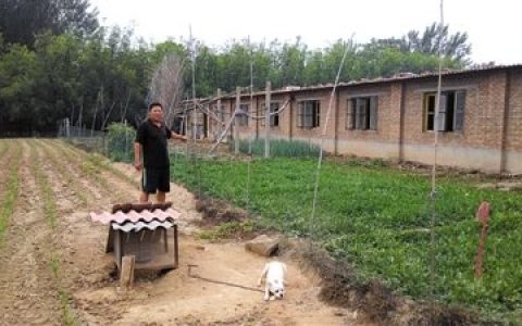 被叉车砸到