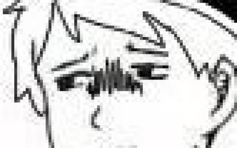 日本小学一年级的学生名单。。。。 有些孩子的名字已经无法直视了。。。。。 ​​​​