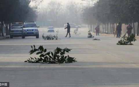 我就站在这里看你空翻