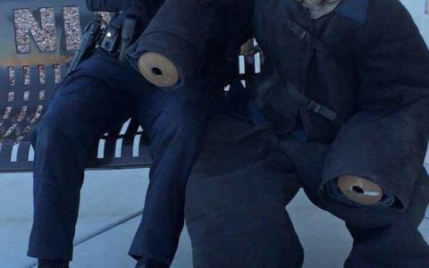 一位加拿大网友分享了自己家黑狗Kingsley和黑猫Otis的日常生活。