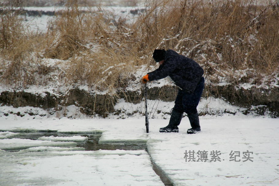 东港渔民顶风冒雪采冰忙 - 棋簿紫 - 棋簿紫