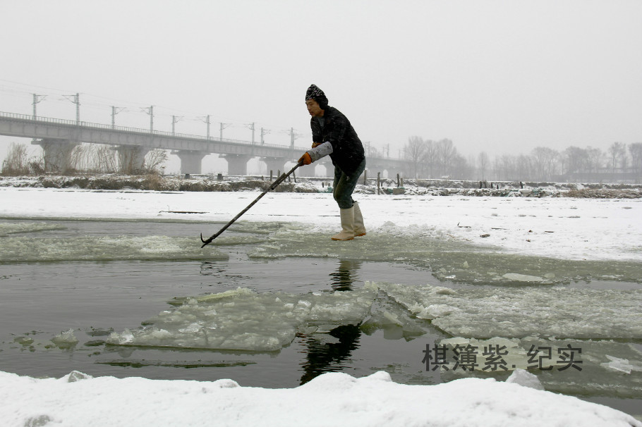 东港渔民顶风冒雪采冰忙 - 棋簿紫 - 棋簿紫