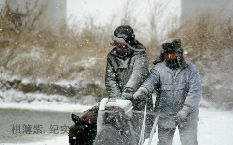 南方雪都能卖出高价：成都的雪20一盆。