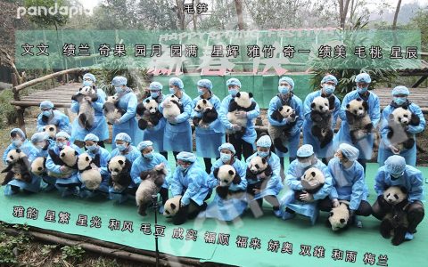 毛笋心机婊站的最高十分抢镜，和下面那些妖艳货色就是不一样