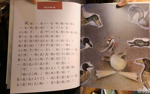 现在的童书真的好棒。