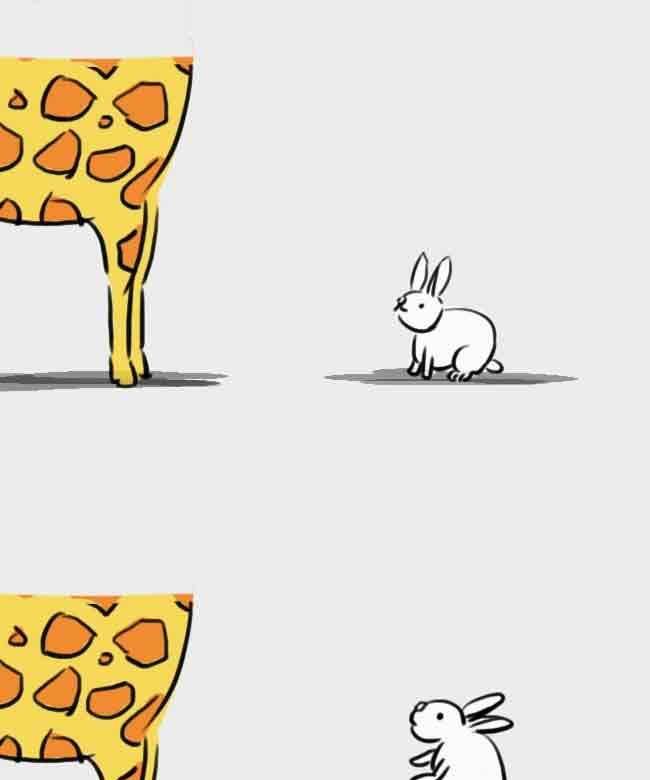 兔子和长颈鹿