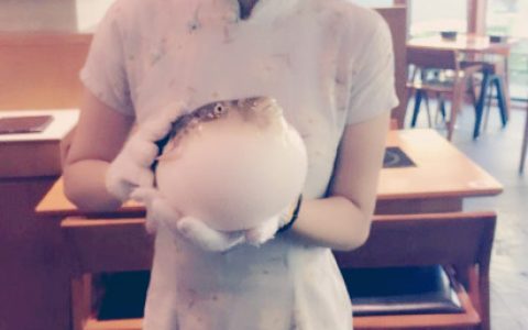 万万没想到河豚店害提供合影服务……吃起来心情有1点复杂。 ​​​​