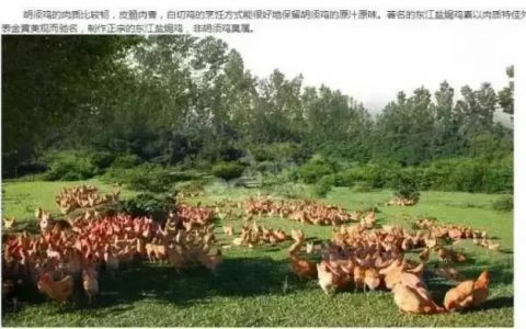 崔永元, 你的商人底裤掉了