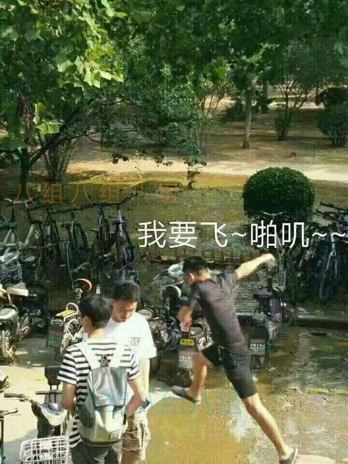 大家好，我们学校被屎包围了。