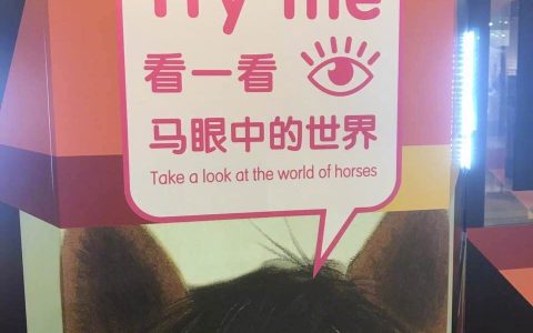 看过的能不能告诉我一下