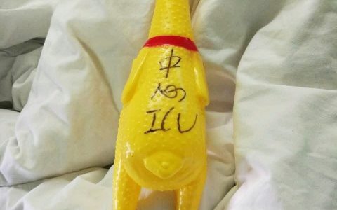 脑补了一下这ICU得多热闹，仿佛每只鸡都在喊“医生！”
