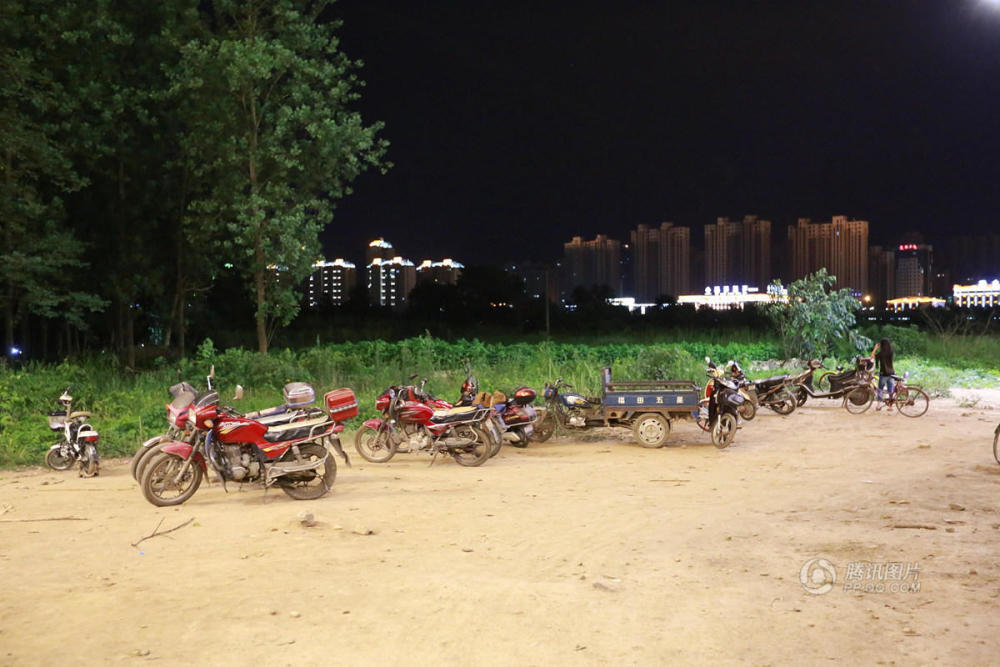 襄阳市民夜晚出动抓知了，每天卖5万斤。