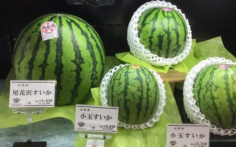 水果这么贵，觉得日本女人好可怜，想去解救她们。