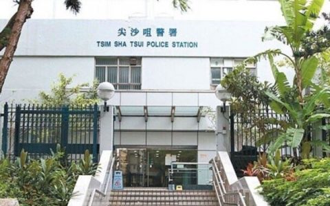 我看国内互联网上也有少数人的脑袋被驴踢得不轻