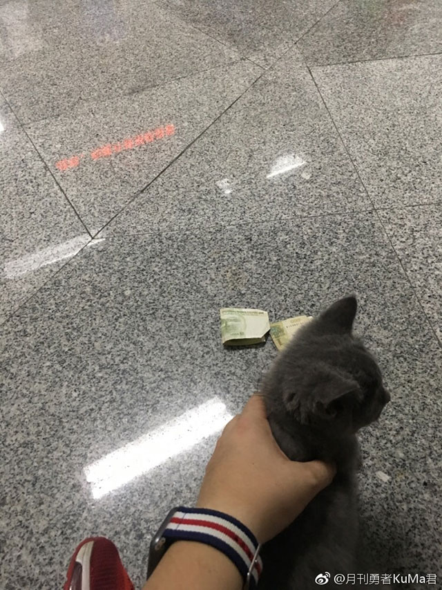 带儿子在地铁站等女朋友，然后抱着他坐在地上玩，没一会有个妹子给我扔了三块钱。