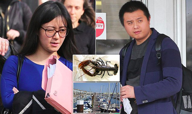 华人在英国放生龙虾，面临十余万罚款。