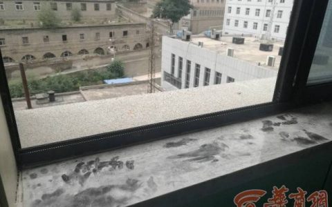 跳楼是跳不下去的