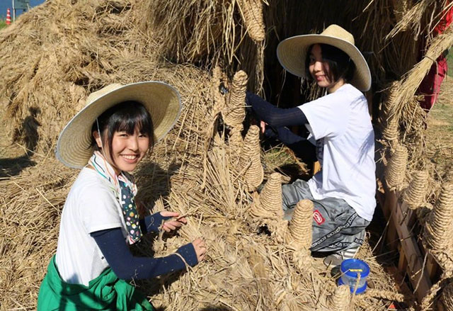 来看今年日本“稻草艺术节”的最佳展品。