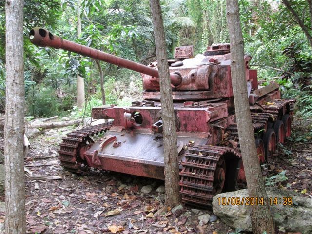 哈瓦那花园里的粉红色坦克