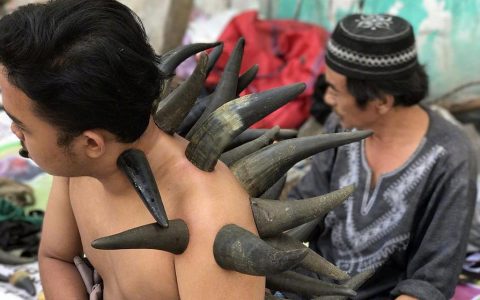 就拔个火罐   整的跟他妈剑龙一样