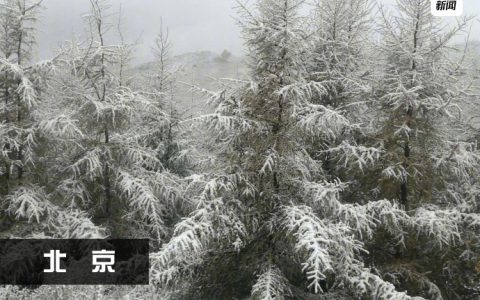 哈哈哈真的看的我打了一个哆嗦 ​​​​