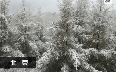 大雪满长安，春来特地寒。 ​​​​