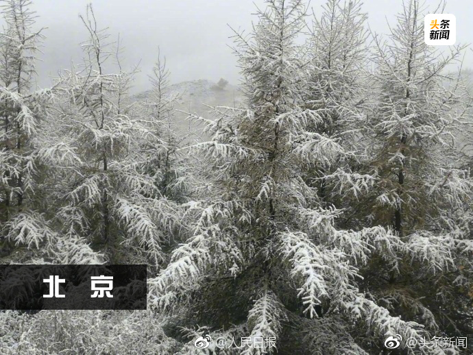 冷冷冷！多地迎来下半年第一场降雪。说说你所在城市这两天降温了多少度？