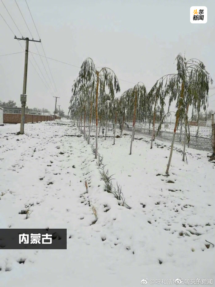 冷冷冷！多地迎来下半年第一场降雪。说说你所在城市这两天降温了多少度？