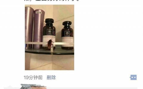 可惜对面没有卖橘子的