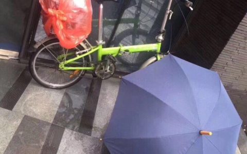 刚下雨了，一网友街边猛然看到这一幕。