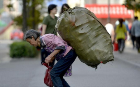 81岁老太捡垃圾养四条命，民政局将其纳入关爱援助。