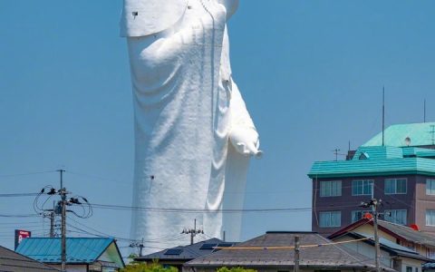 没有退路