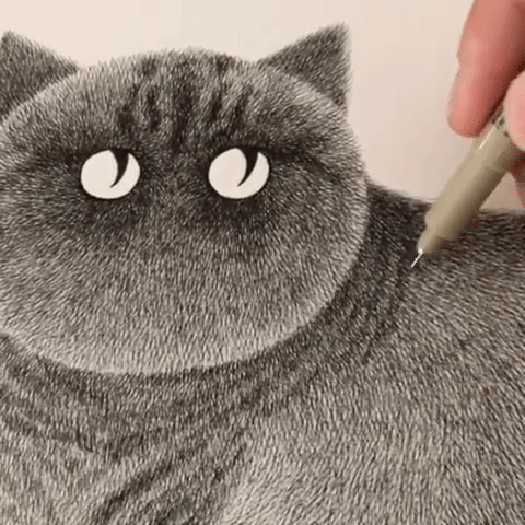画家Kamwei Fong用针管笔描绘的猫，生动又可爱 ​​​
