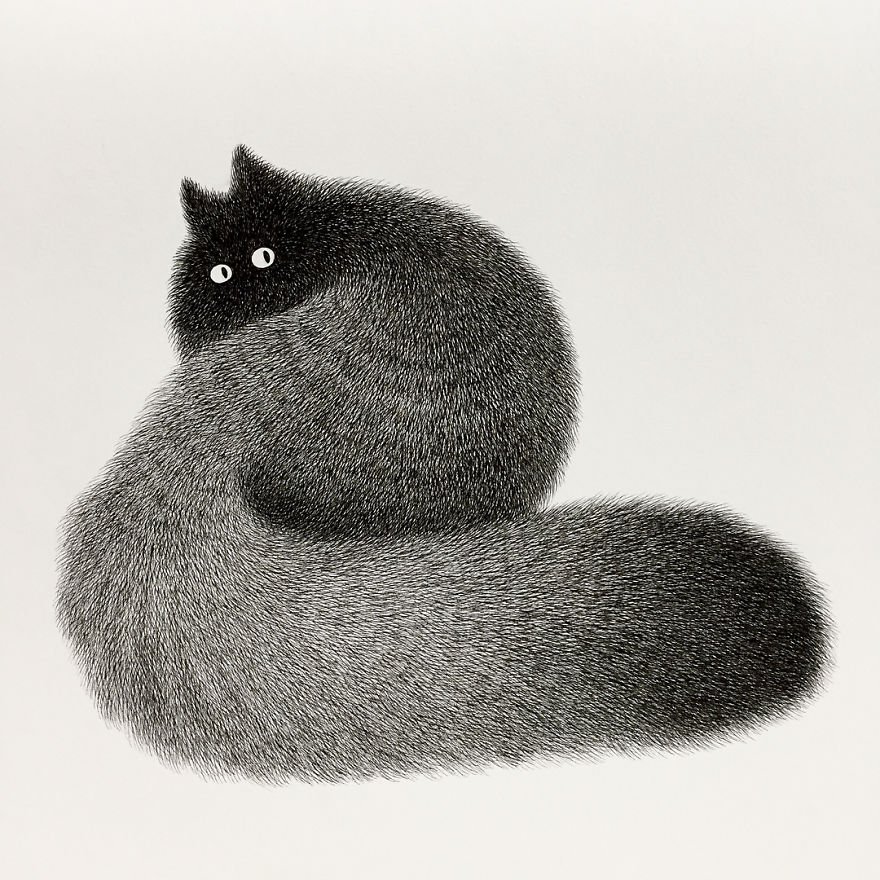 画家Kamwei Fong用针管笔描绘的猫，生动又可爱 ​​​