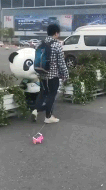 遛手机？？？