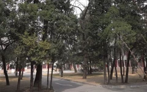 看哭了！武汉战疫全景纪录片《英雄之城》