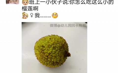 自来熟的小榴莲和不擅社交的小西瓜。 ​​​​