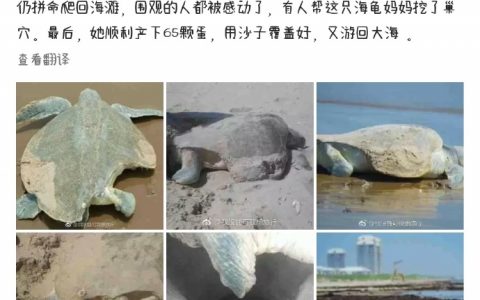 公龟：？？？？？？
