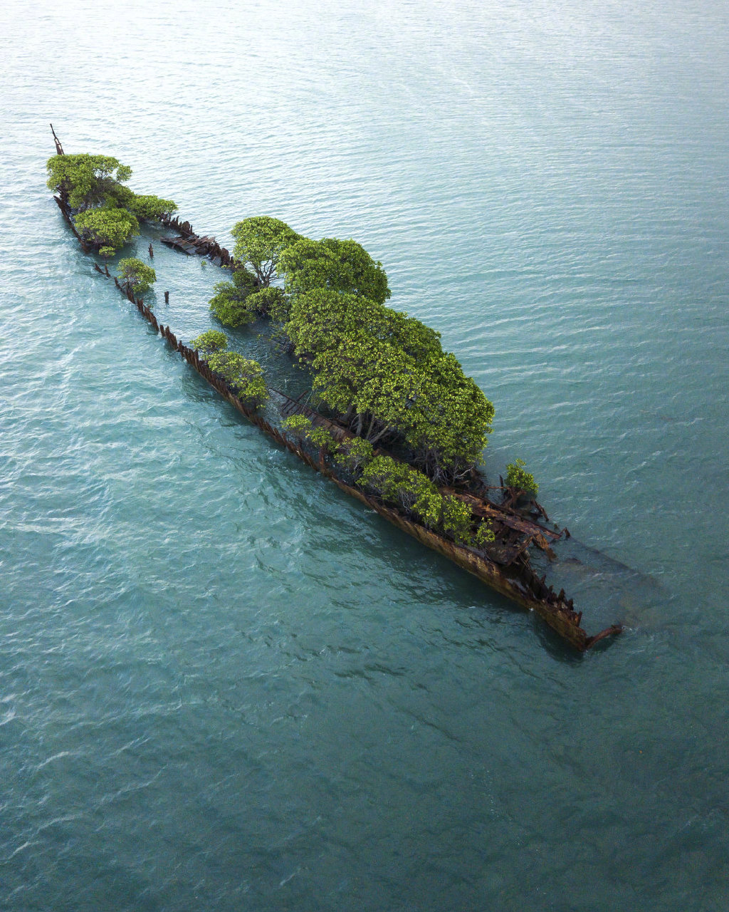 澳大利亚磁岛科克尔湾附近的一艘英国沉船，变成了一个长满植物的孤岛。