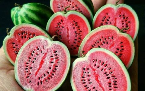 乌克兰艺术家 Nikkanett 用粘土制作极其逼真的迷你果蔬食物。