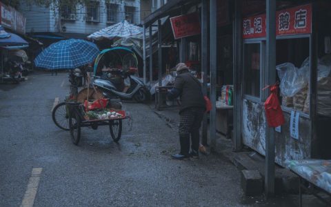 用奇怪的知识点解释生活