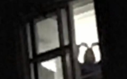 像极了蟑螂哈哈哈哈哈哈哈哈哈哈但是好可爱 ​​​​