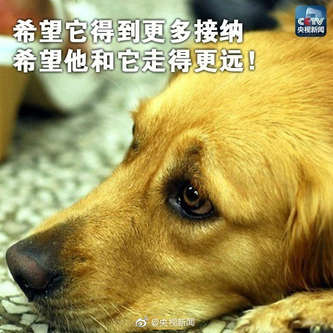 你愿和导盲犬同行吗？