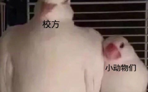 近来看到最暖心的一件小事儿……大家好可爱啊！